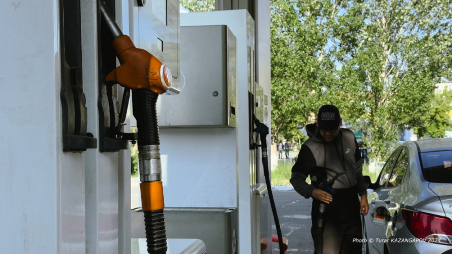 Жанармайға қатысты ахуал: Қазақстан шекарадағы бақылауды күшейтпек