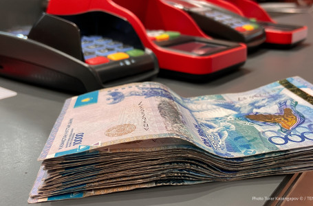 270 млн теңге: автонесие алған астаналықтар сан соғып қалды