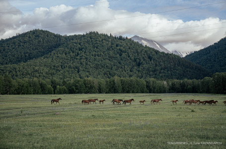 Өрт қаупі жоғары: ТЖМ ауа райына байланысты ескерту жасады