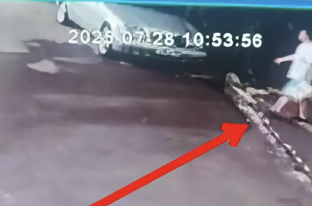 Жертөледе ұсталған: Алматы полициясы жасөспірімге қатысты тосын мәлімдеме жасады