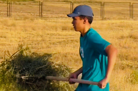 Шымкент: “Taza Alem“ акциясы жалғасып жатыр