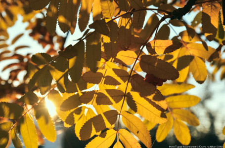 2025 жылғы қыркүйектен бастап Қазақстанда не өзгереді?