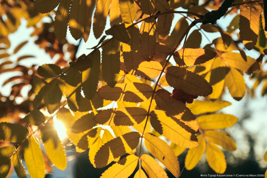 2025 жылғы қыркүйектен бастап Қазақстанда не өзгереді?