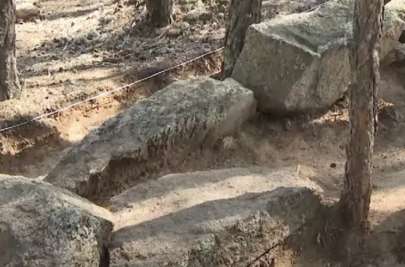 Ақмола облысында сирек кездесетін құнды жәдігер табылды