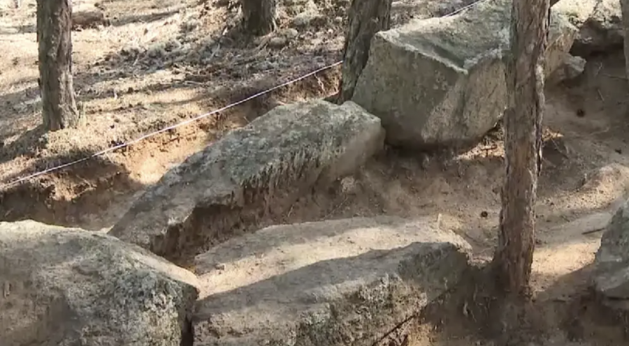 Ақмола облысында сирек кездесетін құнды жәдігер табылды