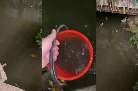 Үлкен Алматы өзеніне кәріз суы құйылған