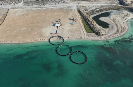 Маңғыстауда Орталық Азиядағы алғашқы теңіз аквашаруашылық жобасы басталды