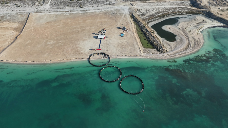 Маңғыстауда Орталық Азиядағы алғашқы теңіз аквашаруашылық жобасы басталды