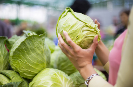 Күздің ең пайдалы өнімі аталды