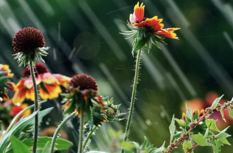 Құбылмалы: синоптиктер ауа рай қандай болатынын айтты