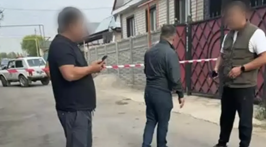 Талғардағы адам ұрлау мен кісі өлімі: қылмыскер баламен бірге жардан құлаған