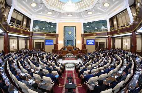 Президент бір палаталы Парламент құру бастамасын көтерді