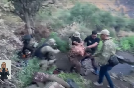 Дрондар, тікұшақтар тартылды: Қазақстанда есірткі мафиясы әшкереленді