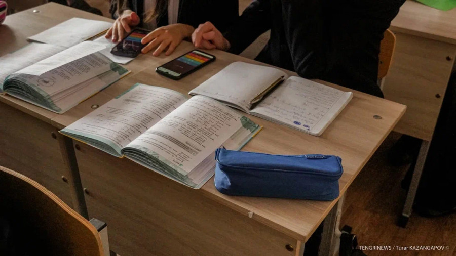 “Директорлар жауапкершілік алудан қорқады“ - депутат мектепте телефон ұстауға тыйым салу туралы