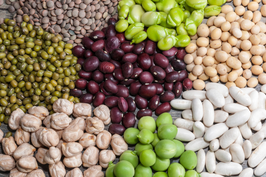 Мамандар өмірді ұзартатын өнім туралы айтты