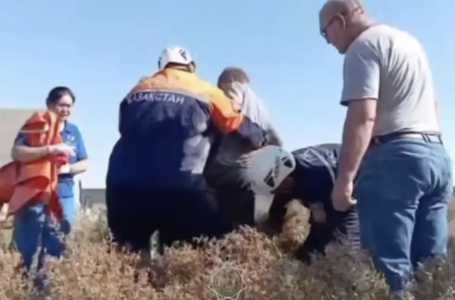 Шымкентте жасөспірім атпен бірге 5 метрлік шұңқырға түсіп кетті