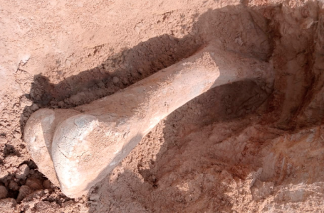 СҚО тұрғыны балық аулап жүріп мамонт сүйегін тауып алған