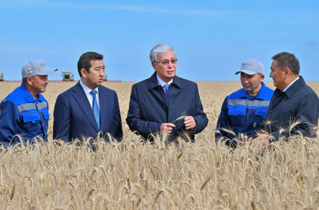 Тоқаев Ақмола облысындағы егін жинау науқанымен танысты