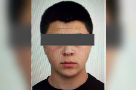 Шымкентте ірі қылмыстық схема әшкереленді