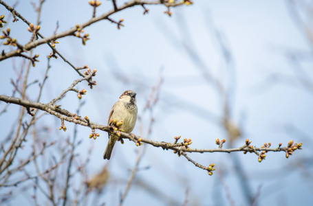 Қар жауады: демалысқа арналған ауа райы болжамы