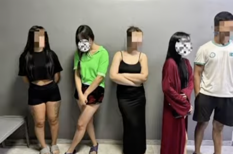 Алматыда үш тұрғын үй кешенінен 71 притон әшкере болды (видео)