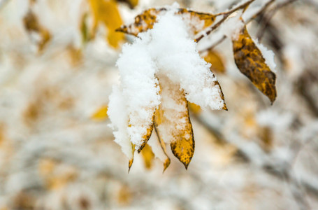 Қар жауады, үсік жүреді: бүгін ауа райы қандай болады?