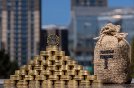 Қандай бизнес түрлері жеңілдетілген салық режимінде жұмыс істей алады?