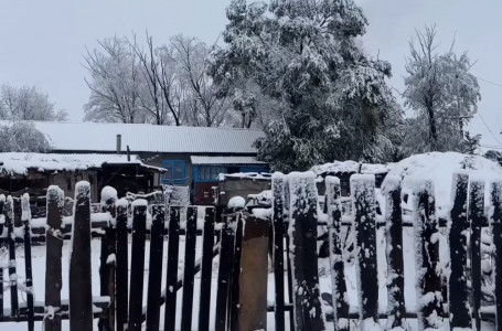 “Қыс сияқты“. Алматы облысындағы ауылдарда қар жауды