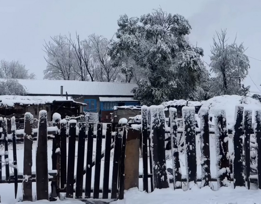 “Қыс сияқты“. Алматы облысындағы ауылдарда қар жауды