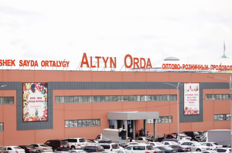 “Атышулы “Алтын орда“ жиі сөз болады“. Нұрбол Назарбаевтың мүлкіне тексеріс жүргізу сұралды