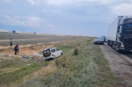 “Жиі жол апатына ұшыратып жатыр“. Депутат оң жақ рөлді Toyota Alphard көліктерін шектеуді ұсынды