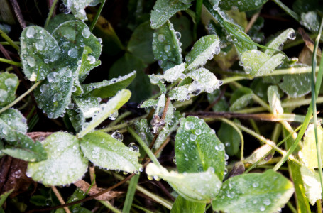 Демалыста күн суытады