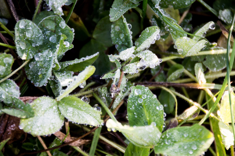 Демалыста күн суытады