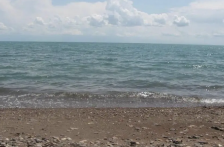 Экс-шенеуніктер, Forbes тізіміндегілер және Құлыбаев әулеті. Прокурорлар мәлімдеме жасады