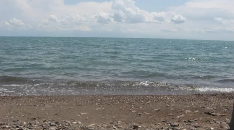 Экс-шенеуніктер, Forbes тізіміндегілер және Құлыбаев әулеті. Прокурорлар мәлімдеме жасады