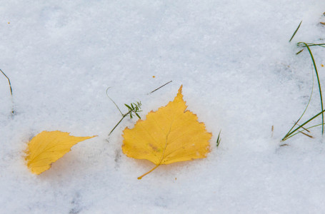 28 қыркүйекте қай өңірлерде қар жаууы мүмкін?