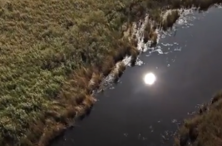 Қарағанды облысындағы өзеннен ер адам өлі табылды: полиция туыстарын іздейді