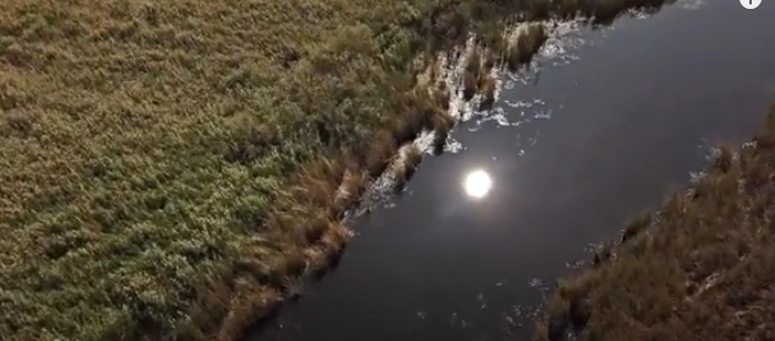 Анастасия Гришамен лесбияндық порно