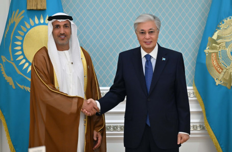 Президент БАӘ қорғаныс істері жөніндегі мемлекеттік министрін қабылдады