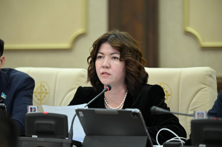 Мәжіліс Жұлдыз Сүлейменованың депутаттық өкілеттігін тоқтатты