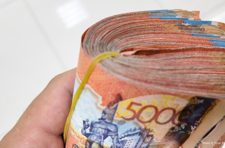 230 млн теңге залал келтірген: Алматыда қаржы пирамидасы әшкере болды