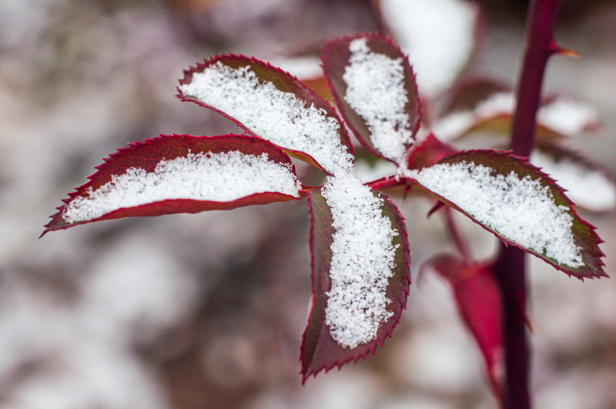 Жаңбыр, қар: қазанның басында ауа райы қандай болады?
