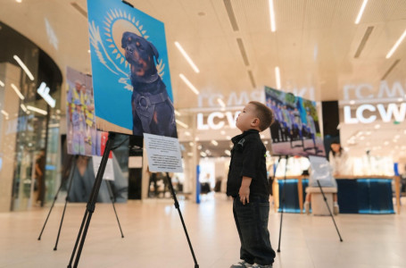 “Заң мен Тәртіп“: Шымкентте ерекше фотокөрме өтті