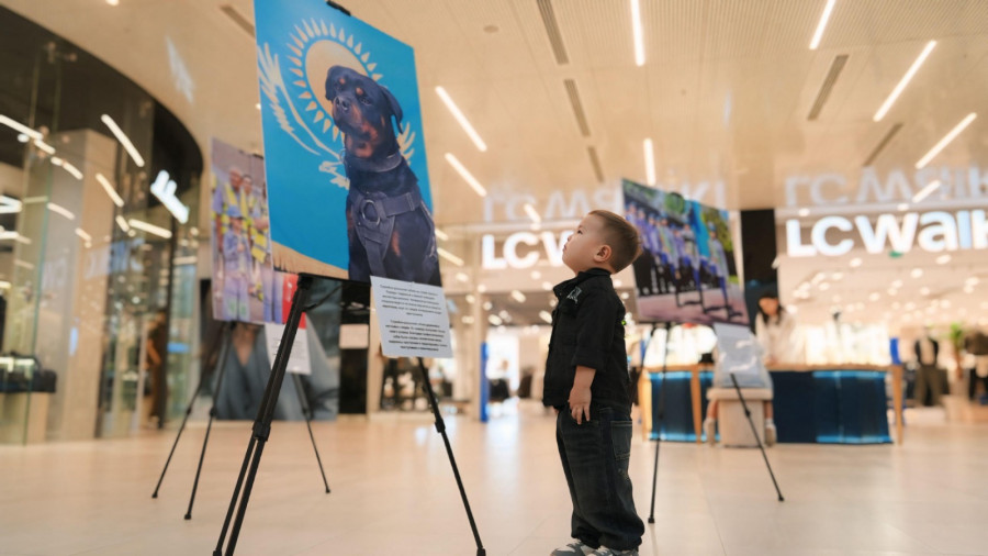 “Заң мен Тәртіп“: Шымкентте ерекше фотокөрме өтті