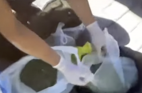 75 жастағы қазақстандықтан аса ірі көлемде марихуана мен гашиш тәркіленді