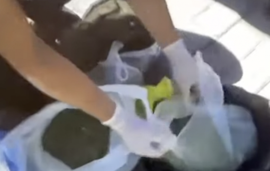 75 жастағы қазақстандықтан аса ірі көлемде марихуана мен гашиш тәркіленді