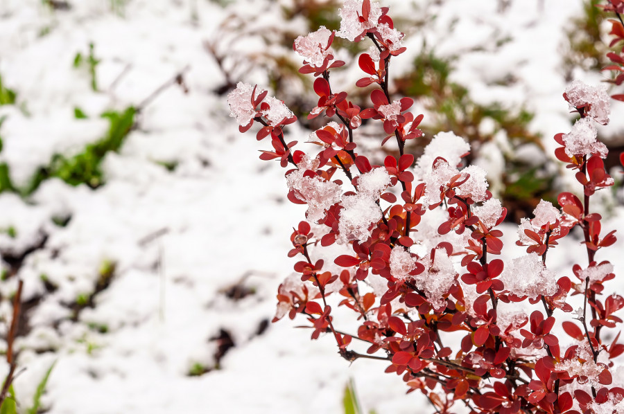 Көктайғақ, қар: демалыста ауа райы қандай болады?