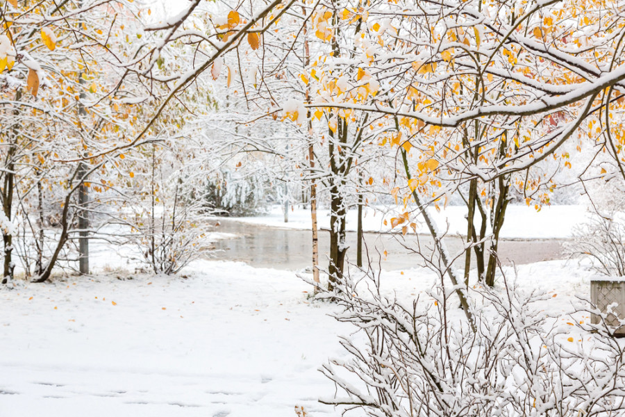 Жаңбыр мен қар жауады: бүгін ауа райы қандай болады?