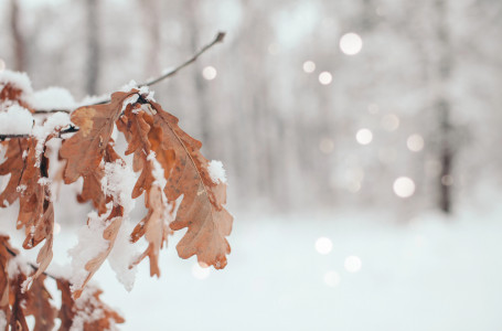 Үсік жүріп, қар жауады: бүгін ауа райы қандай болады?