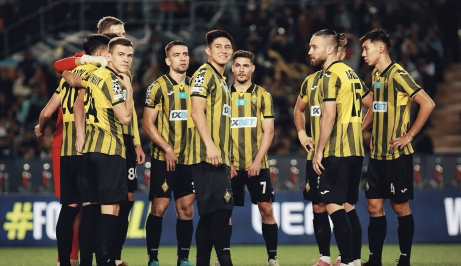 Үлкен бөкселердің фотосуреттері